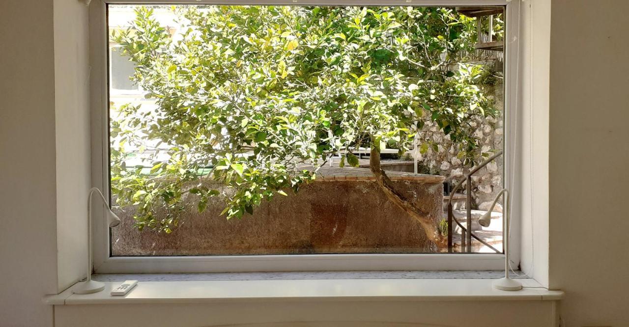 Villa Dorothee カプリ エクステリア 写真